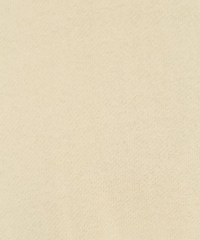 item68a2a92788445.jpg