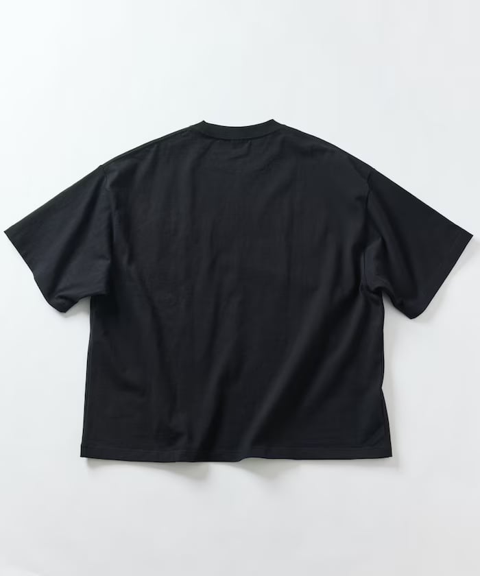 item695ca598626fa.jpg