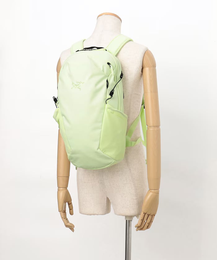 item69ad38c765643.jpg