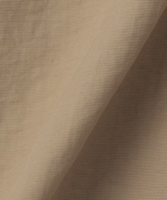 item69cf0edaa36c7.jpg