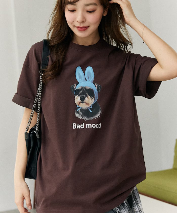 item69cf8483a0560.jpg