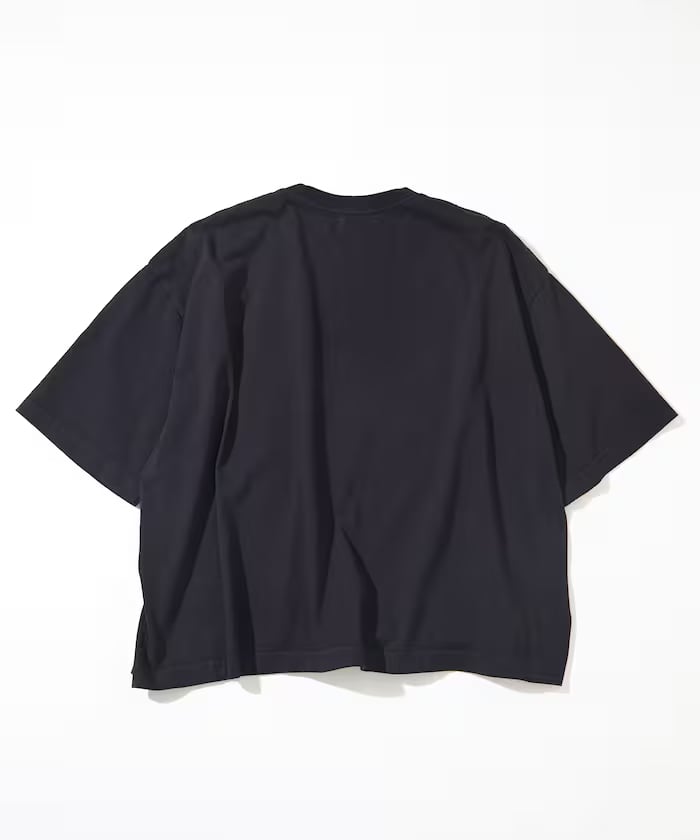 item6a06a07365757.jpg