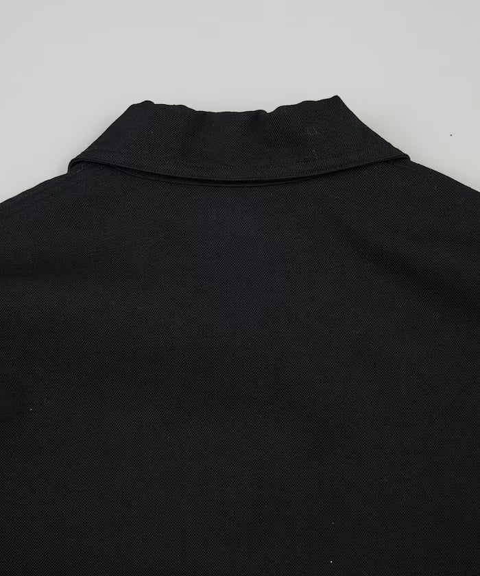 item6979c09c43947.jpg