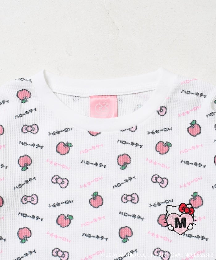 item69a90bcf56fc9.jpg