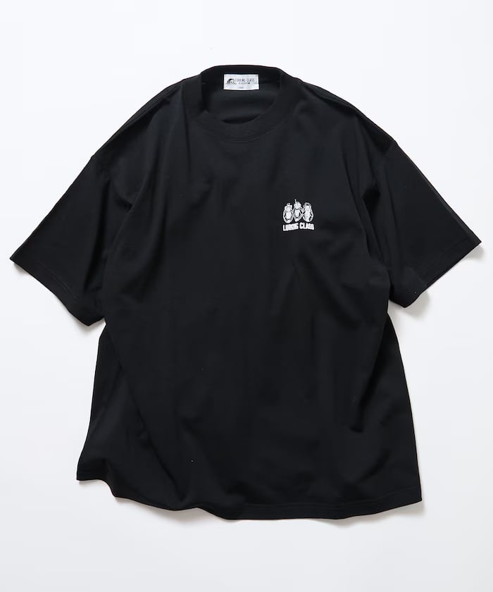 item69afce985b4fd.jpg