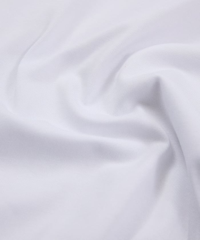 item69c21432c63c1.jpg