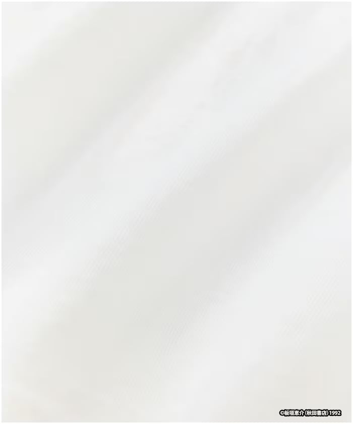 item6a1d0a644e3f4.jpg
