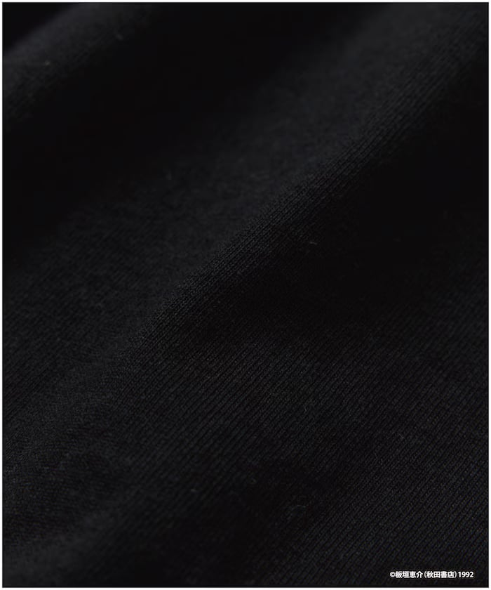 item6a1d0ae7c822c.jpg