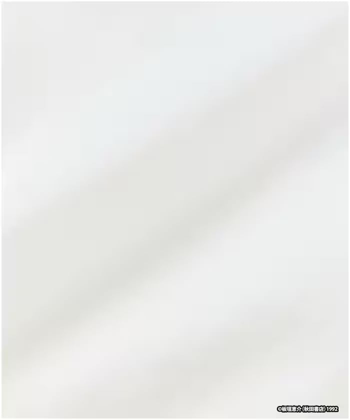 item6a1d0c650dee5.jpg