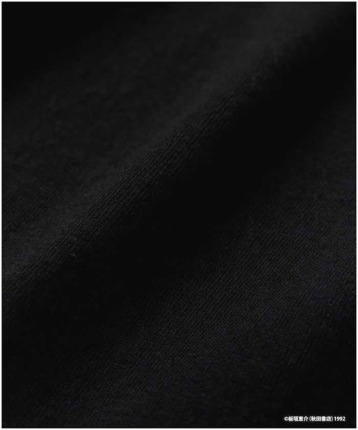 item6a1d0da5e3b93.jpg