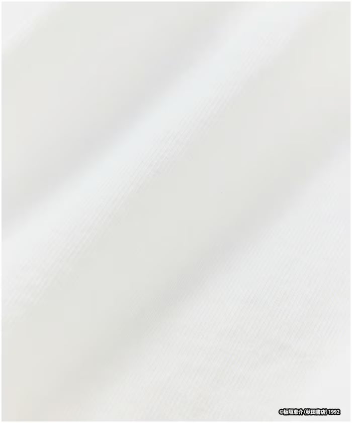 item6a1d0dab672bf.jpg