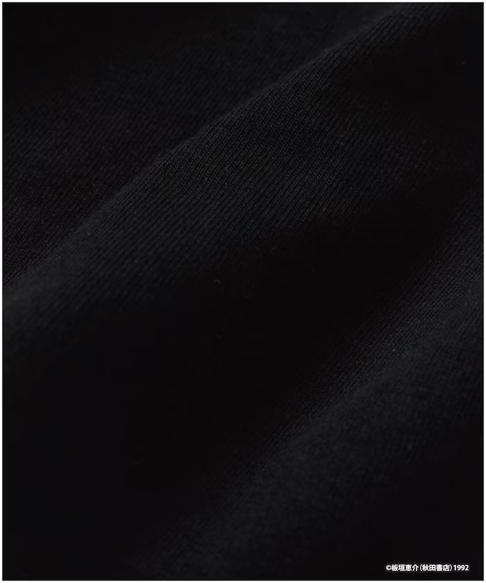 item6a1d0e02863c4.jpg