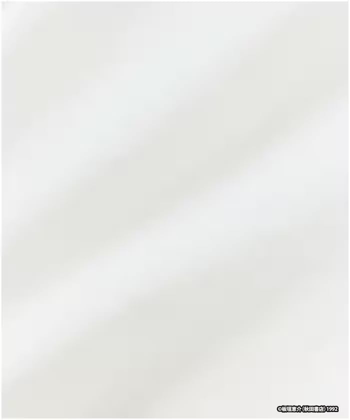 item6a1d0e6b6b90c.jpg